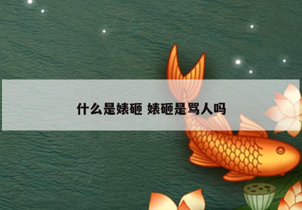 什么是婊砸 婊砸是骂人吗